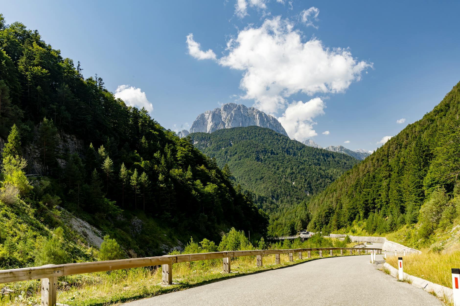 Kręta droga wśród zielonych lasów z panoramą Alp Julijskich
