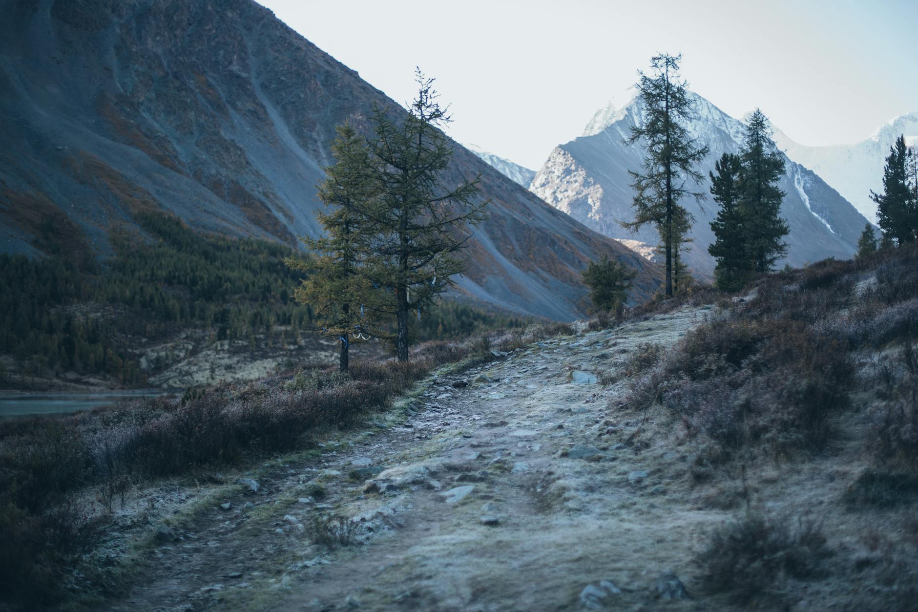 Spokojna górska ścieżka wśród surowych, majestatycznych zboczy